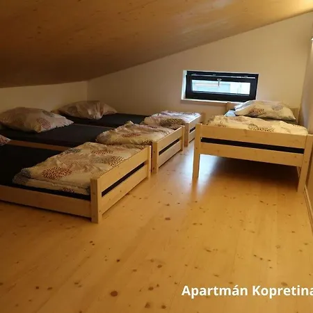 Apartmany Stramberk Exterior photo