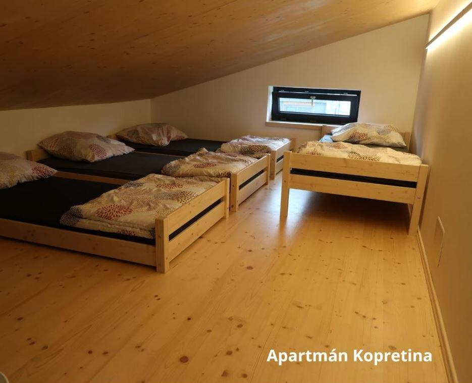 Apartmany Stramberk *